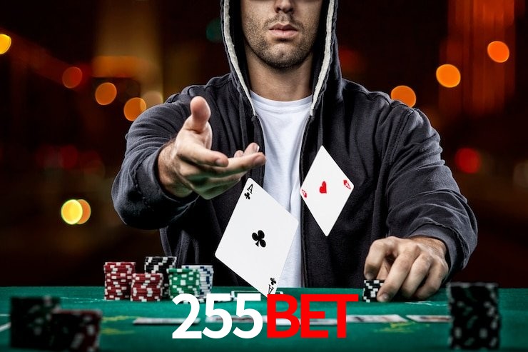 255bet App Interface