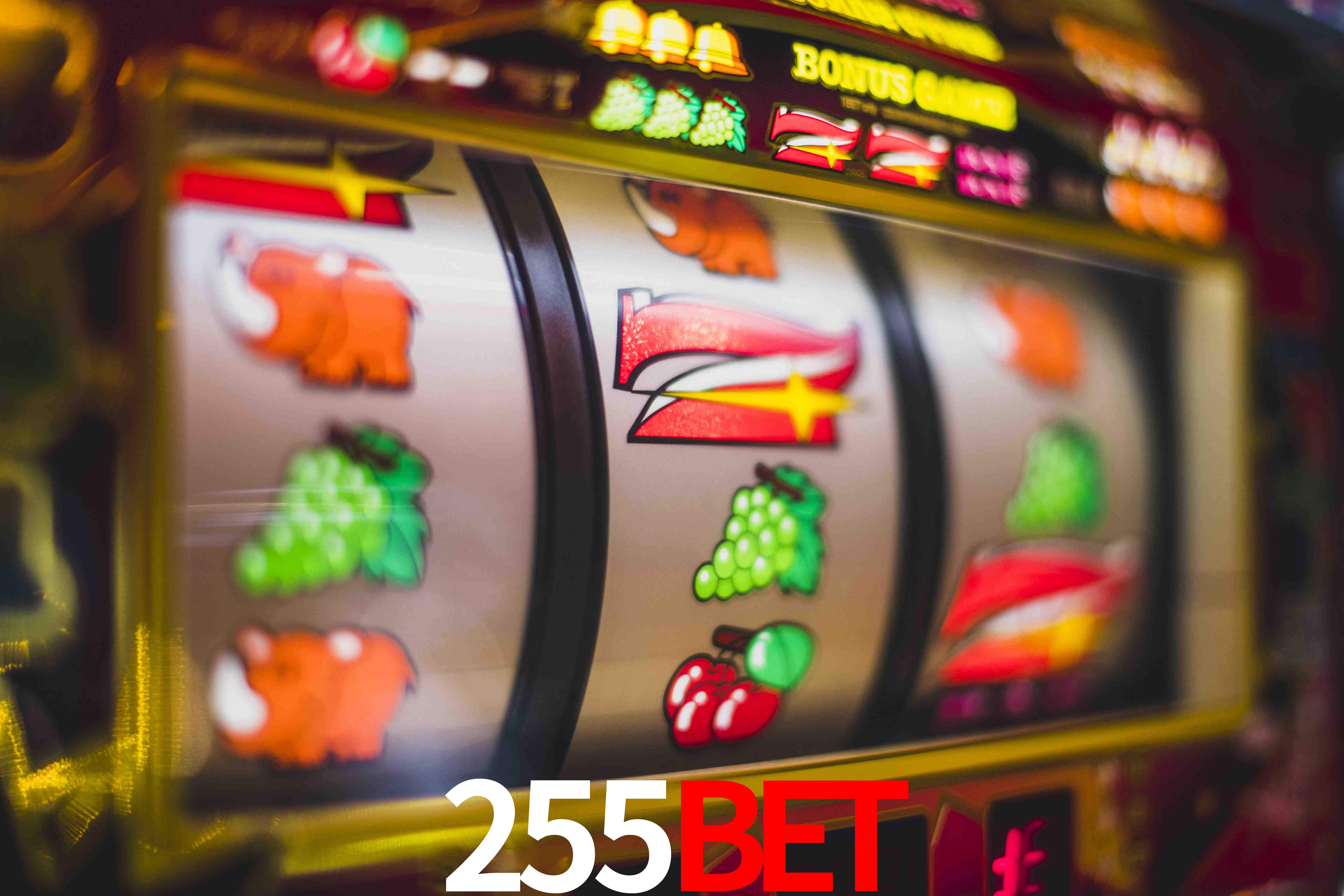Quick Registration 255bet